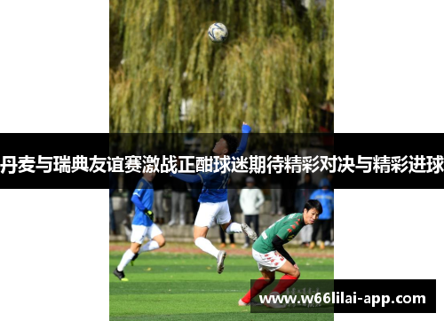 丹麦与瑞典友谊赛激战正酣球迷期待精彩对决与精彩进球
