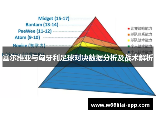 塞尔维亚与匈牙利足球对决数据分析及战术解析